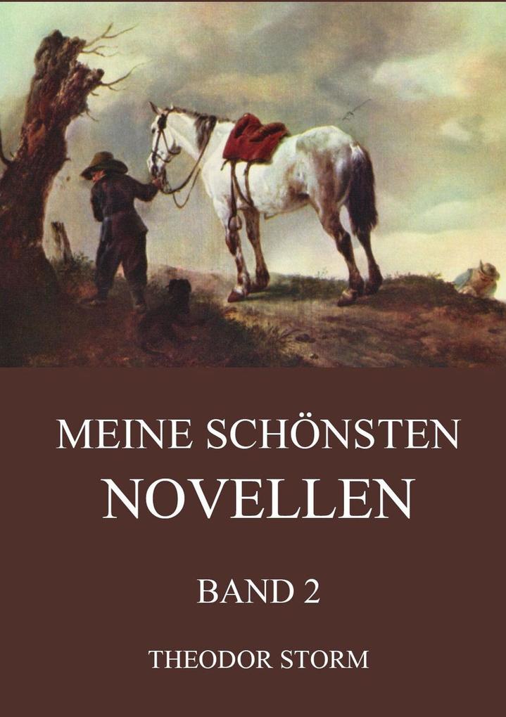 Meine schönsten Novellen Band 2