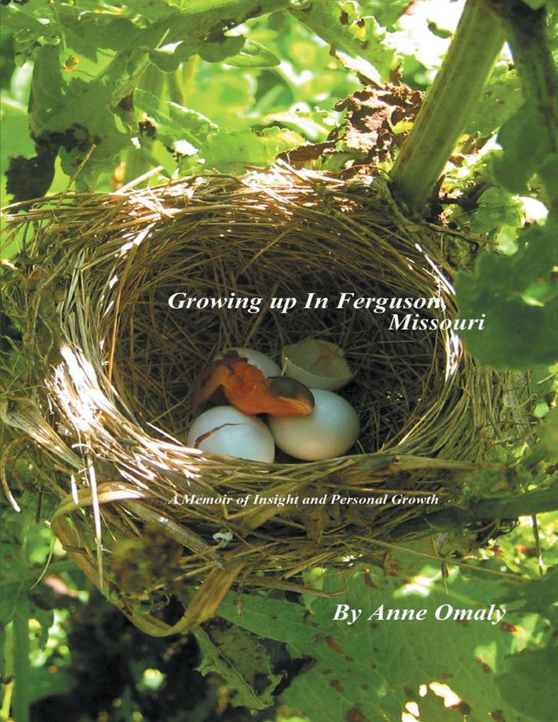 Growing Up In Ferguson Missouri: A Memoir of Insight and Personal Growth