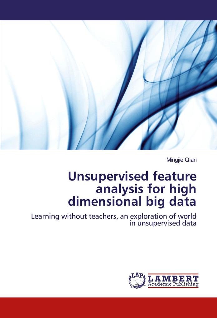 Unsupervised feature analysis for high dimensional big data