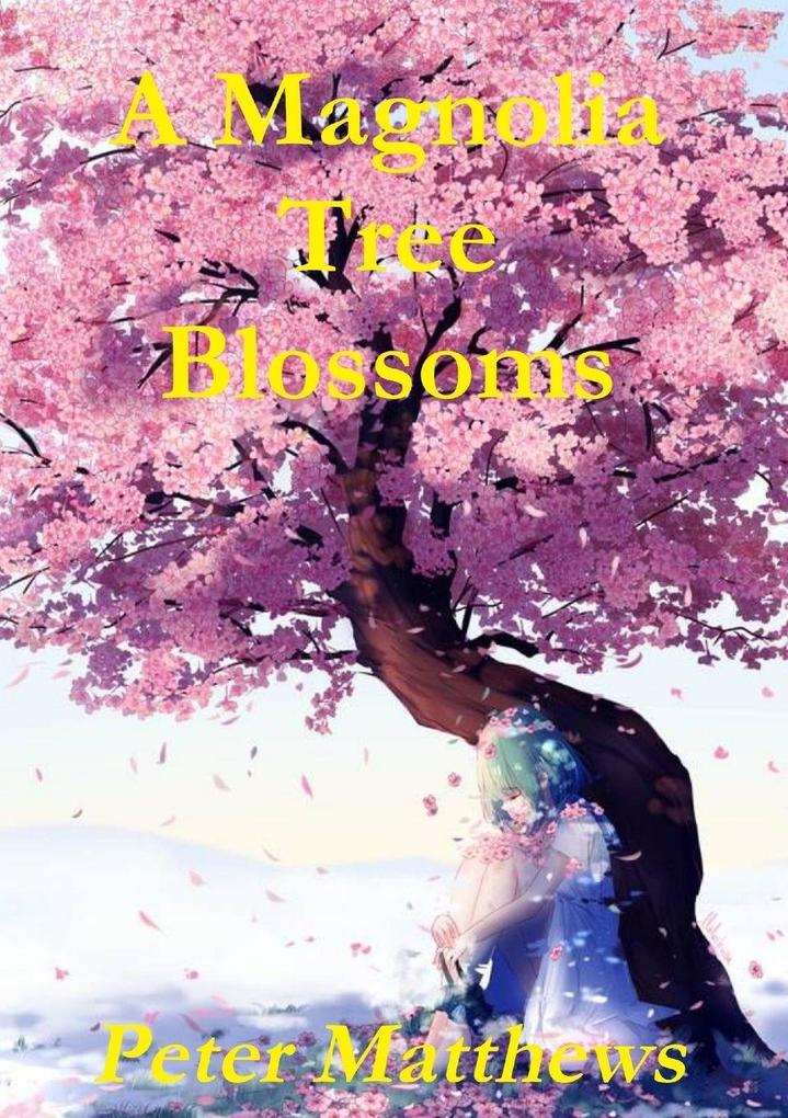 A Magnolia Tree Blossoms