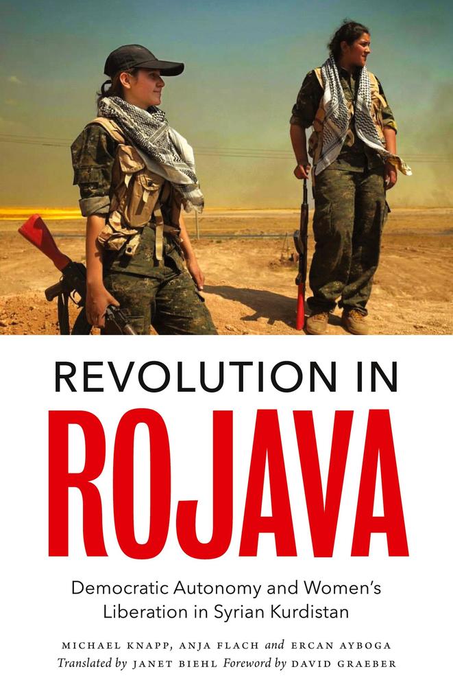 Pluto Press Revolution In Rojava
