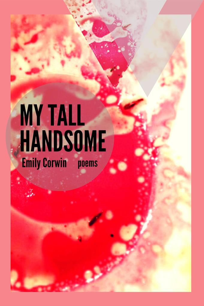 My Tall Handsome: Poems (The Mineral Point Poetry Series #4)