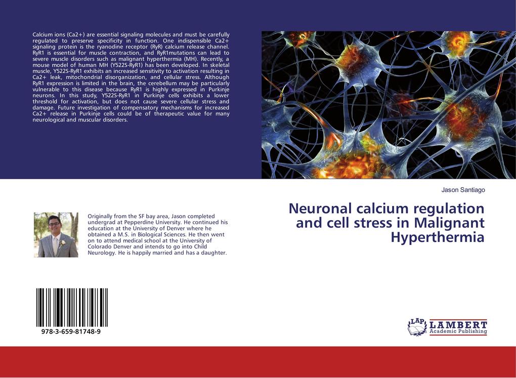 Neuronal calcium regulation and cell stress in Malignant Hyperthermia