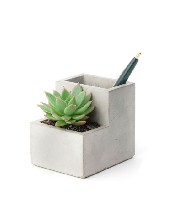 Small Concrete Desktop Planter