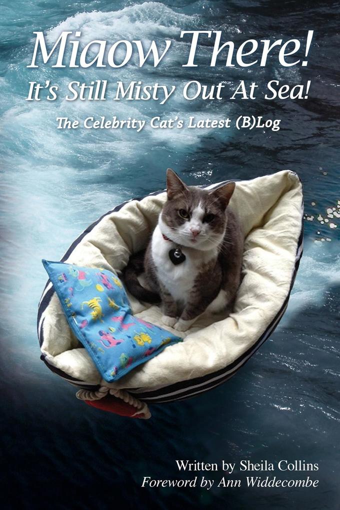 Miaow There! It‘s Still Misty Out At Sea!