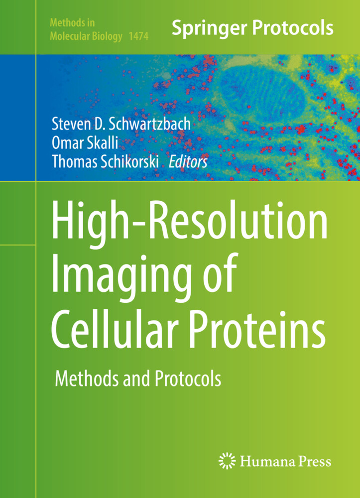 High-Resolution Imaging of Cellular Proteins