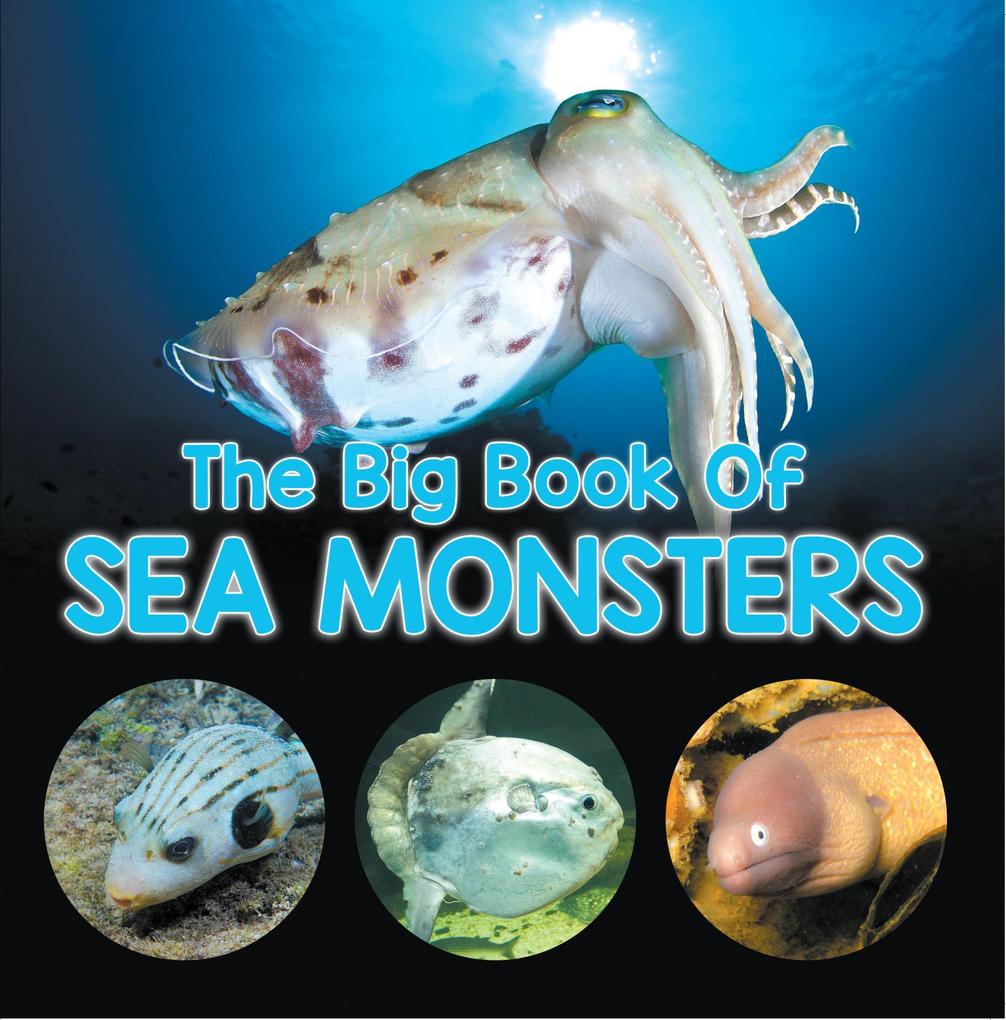 The Big Book Of Sea Monsters (Scary Looking Sea Animals)