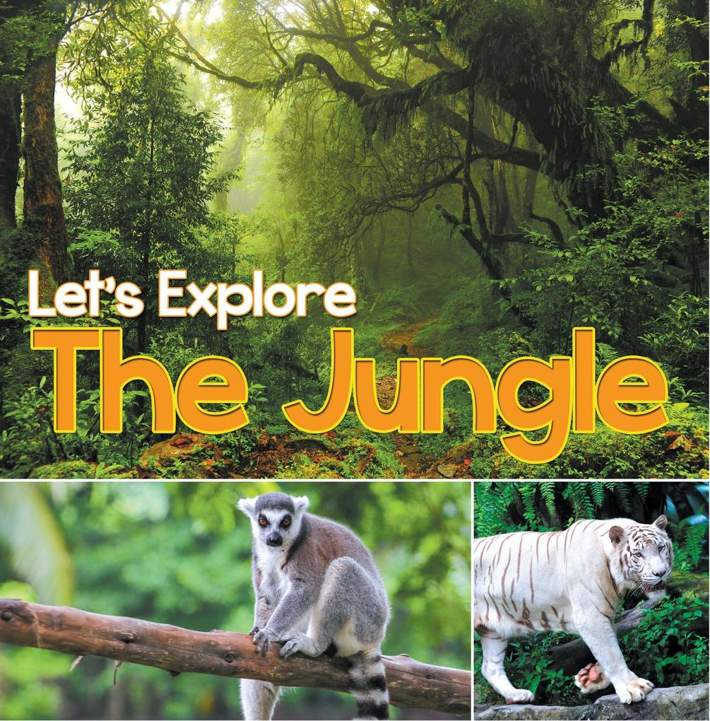 Let‘s Explore the Jungle
