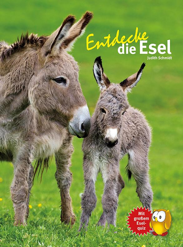 Image of Entdecke die Esel