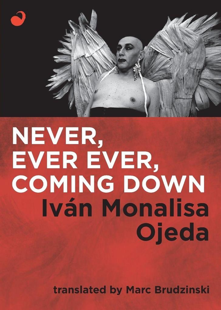 Never Ever Ever Coming Down