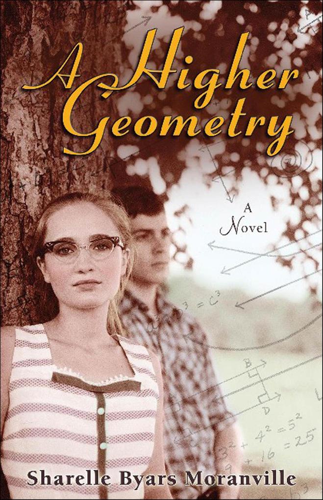 A Higher Geometry