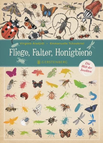 Fliege Falter Honigbiene