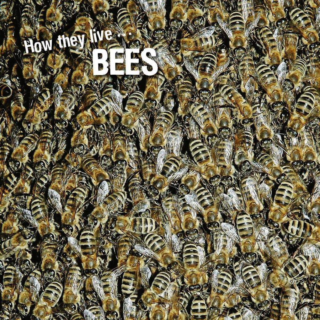 How they live... Bees