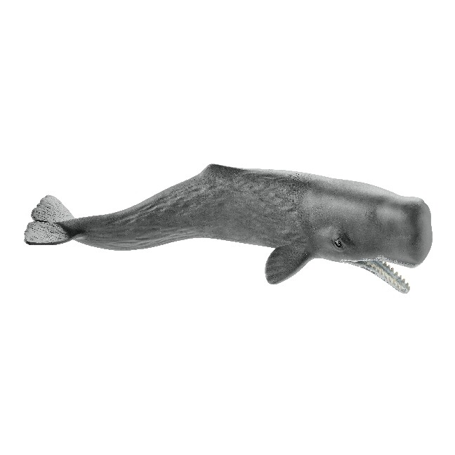 Image of Schleich - Wild Life - Pottwal