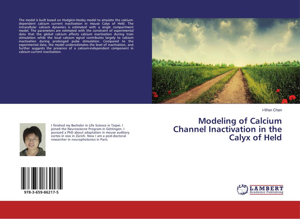 Modeling of Calcium Channel Inactivation in the Calyx of Held