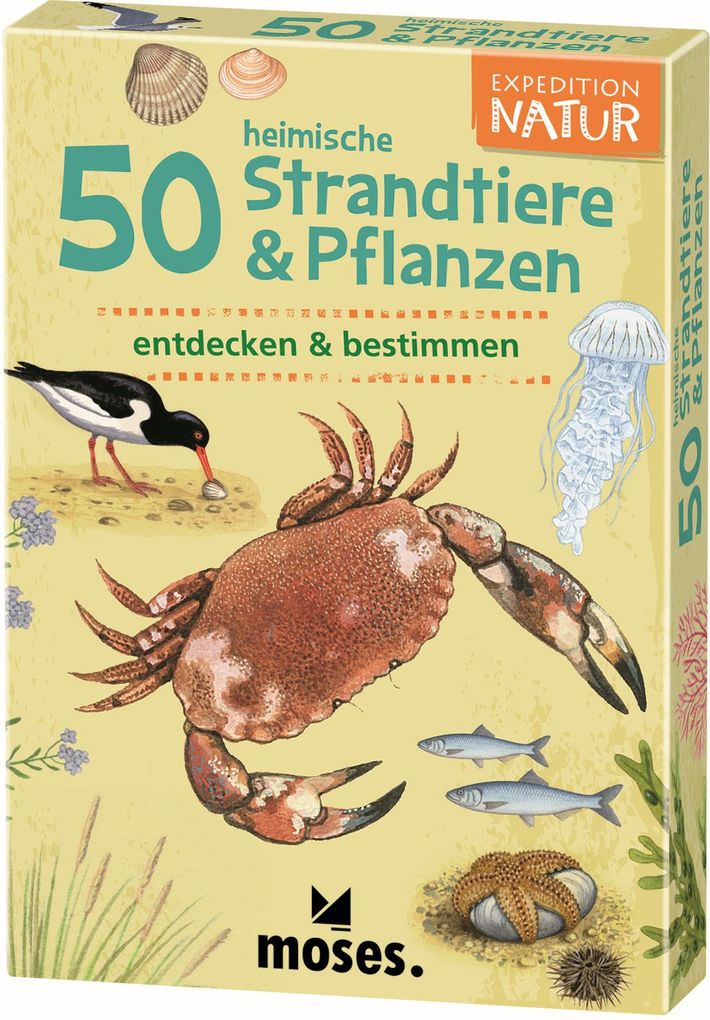 Image of Expedition Natur: 50 heimische Strandtiere & Pflanzen