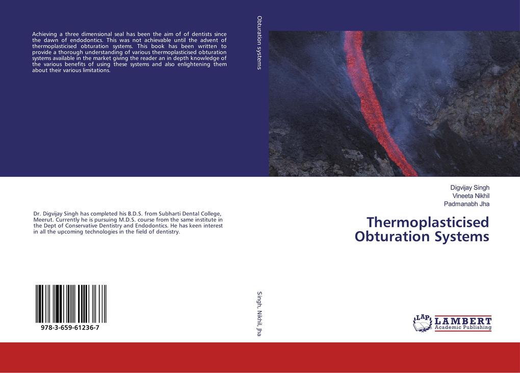 Thermoplasticised Obturation Systems