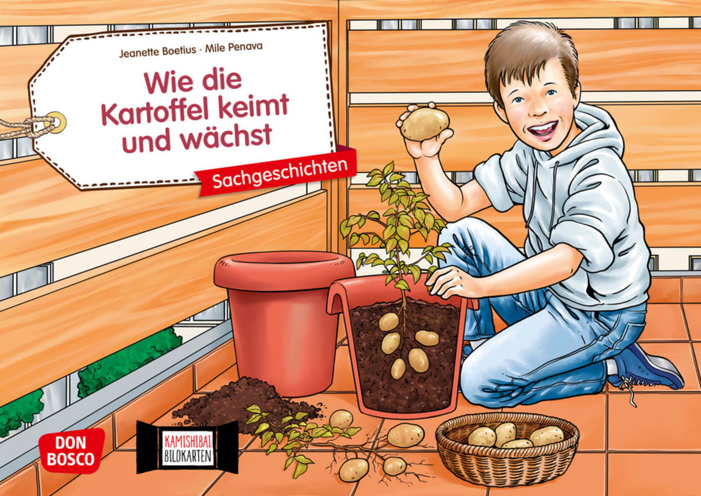 Wie die Kartoffel keimt und wächst. Kamishibai Bildkartenset.