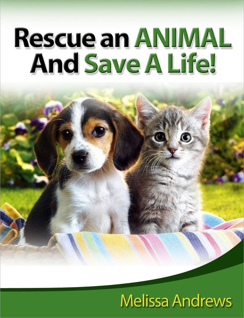 Rescue An Animal And Save A Life
