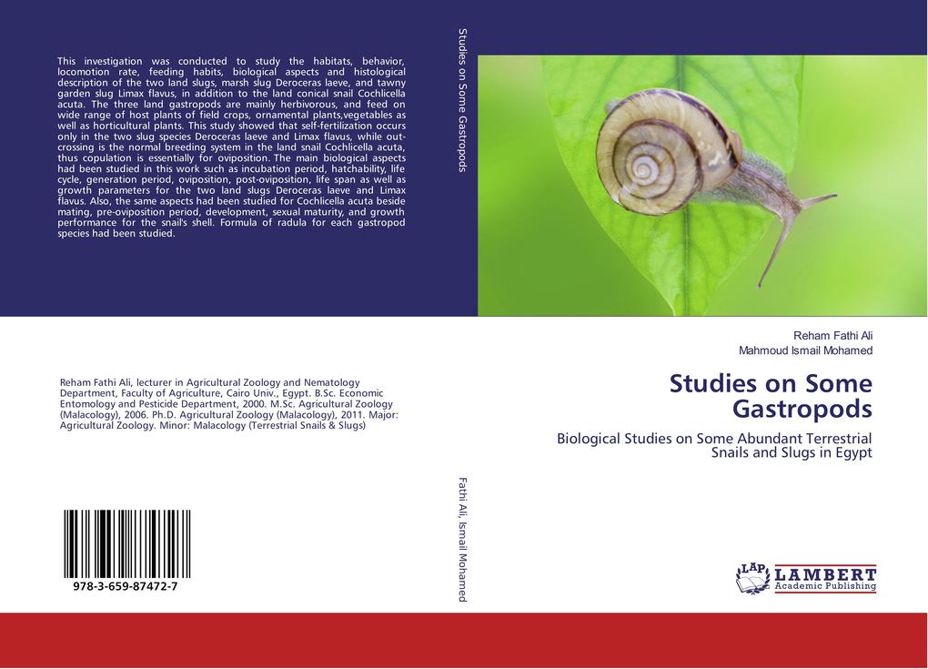 Studies on Some Gastropods
