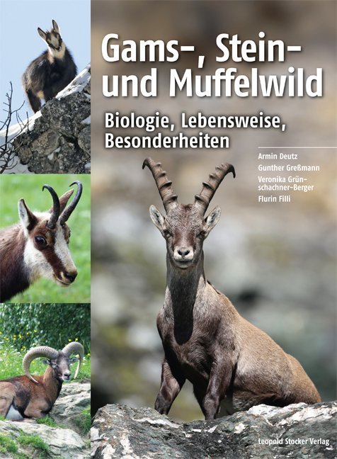 Gams- Stein- und Muffelwild