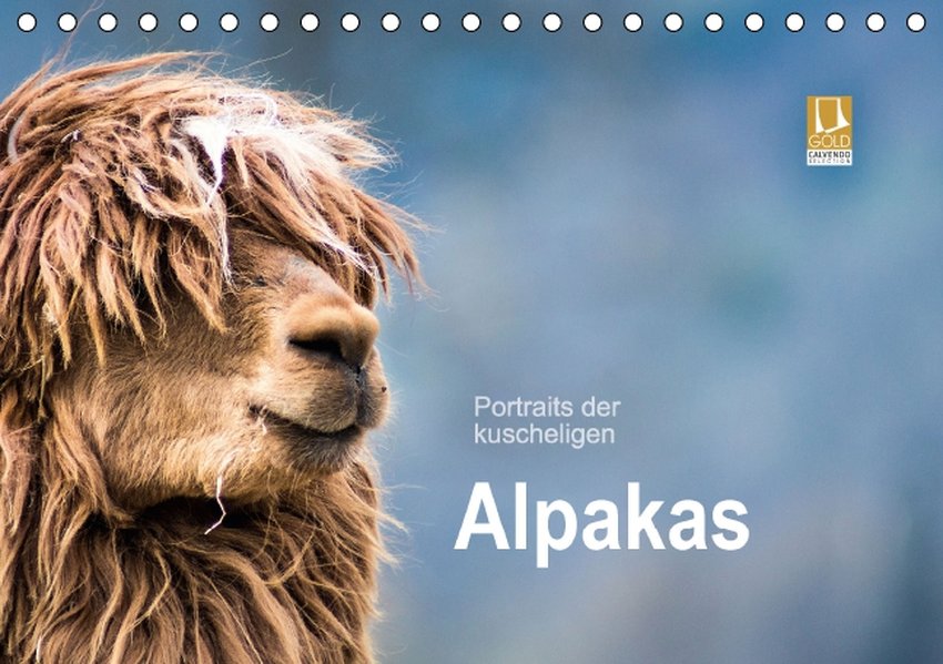 Portraits der kuscheligen Alpakas (Tischkalender 2017 DIN A5 quer) als Kalender Portraits der kuscheligen Alpakas (Tischkalender 2017 DIN A5 quer) als Kalender