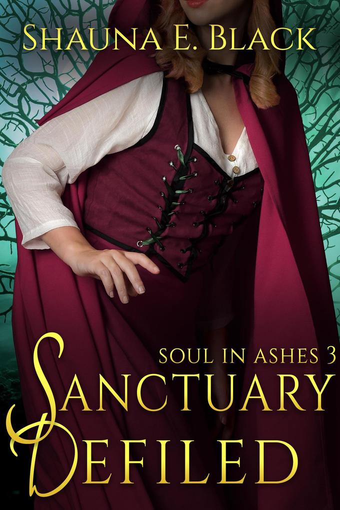 Sanctuary Defiled (Soul in Ashes #3)