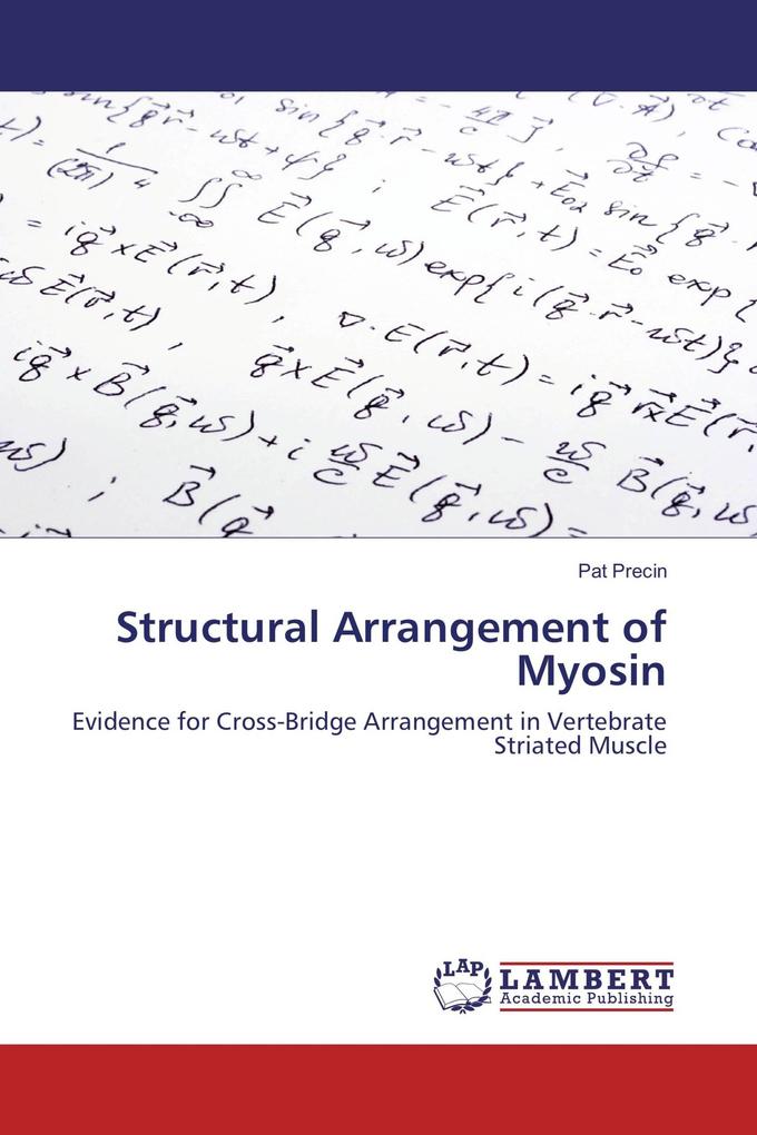 Structural Arrangement of Myosin