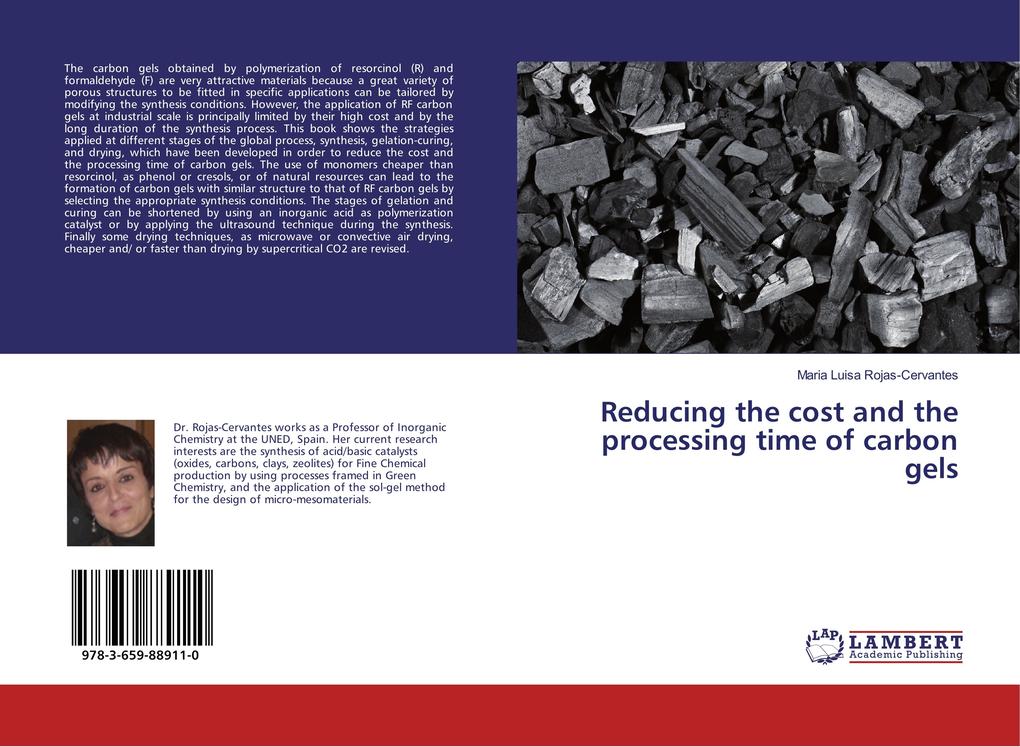 Reducing the cost and the processing time of carbon gels
