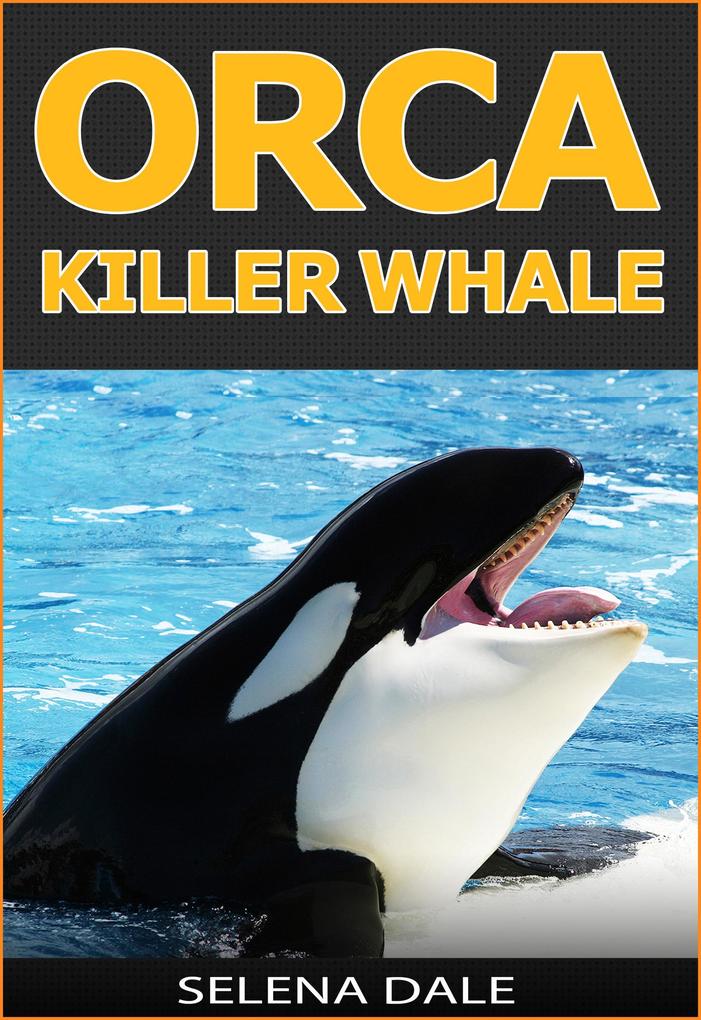 Orca - Killer Whale (Weird & Wonderful Animals)