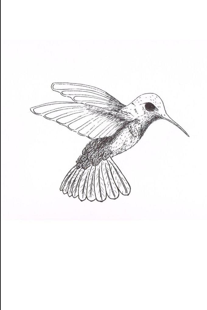 When the Trochilidae Die