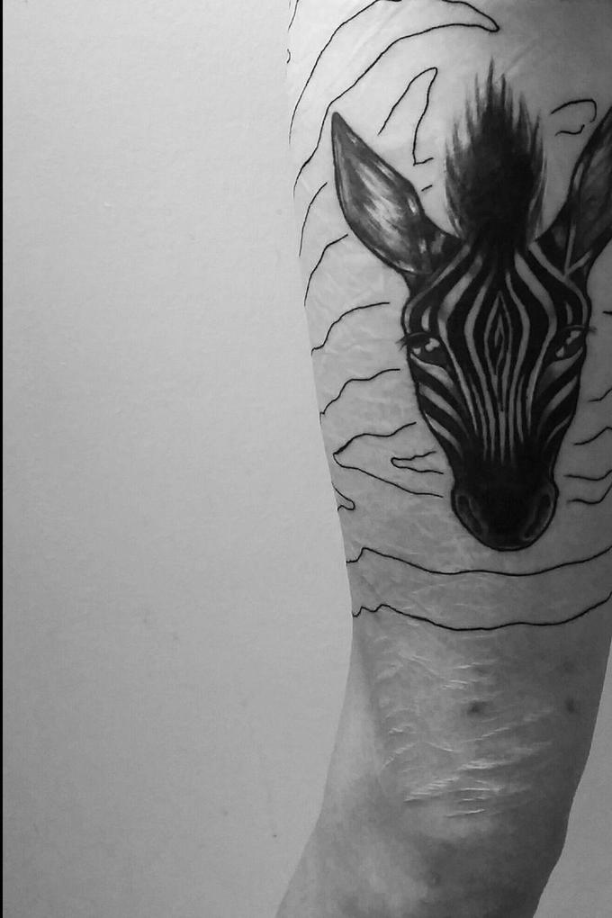 scars and stripes