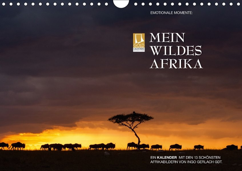 Emotionale Momente: Mein wildes Afrika (Wandkalender 2017 DIN A4 quer) als Kalender Emotionale Momente: Mein wildes Afrika (Wandkalender 2017 DIN A4 quer) als Kalender