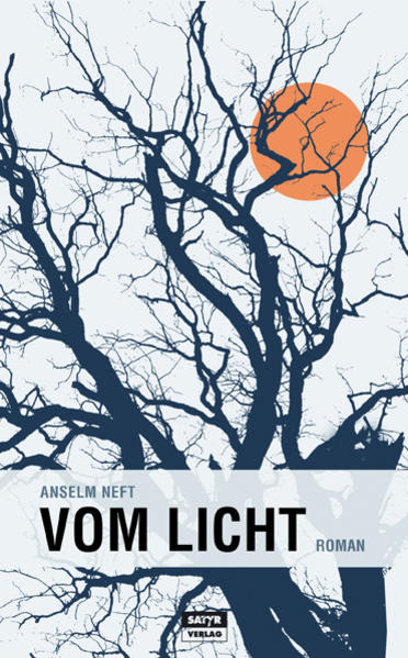 Image of Vom Licht