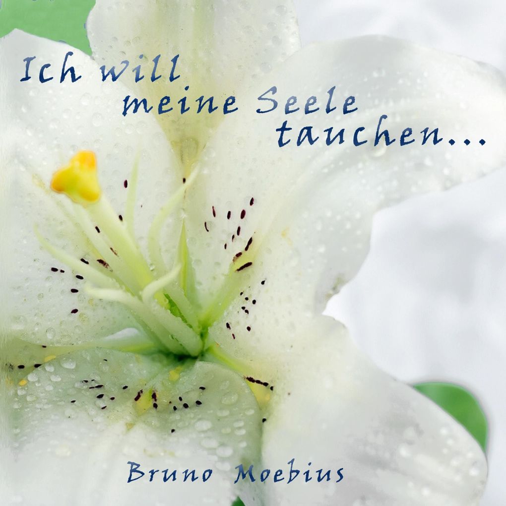 Ich will meine Seele tauchen ...