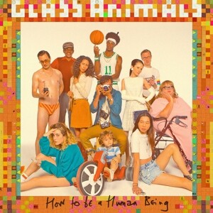 How To Be A Human Being (Vinyl)