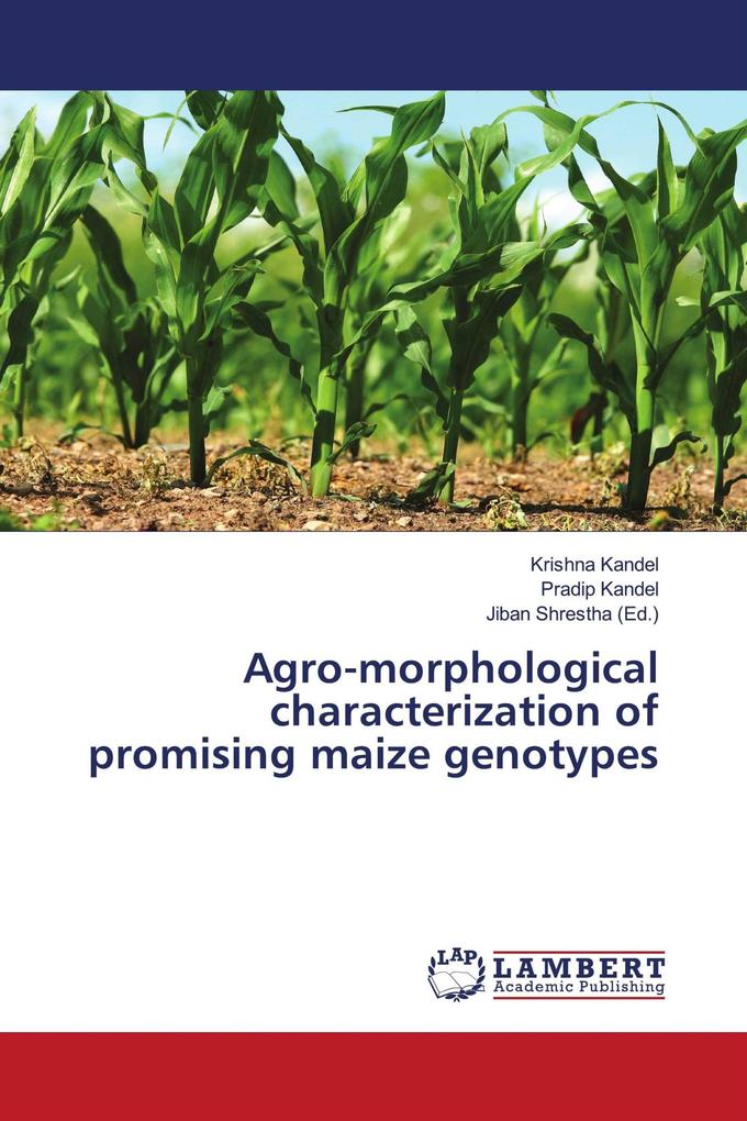 Agro-morphological characterization of promising maize genotypes