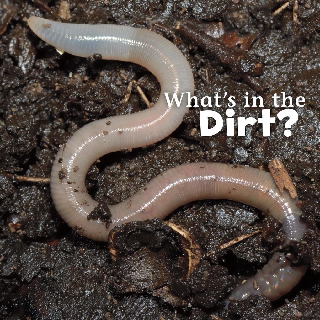 What‘s in the Soil?