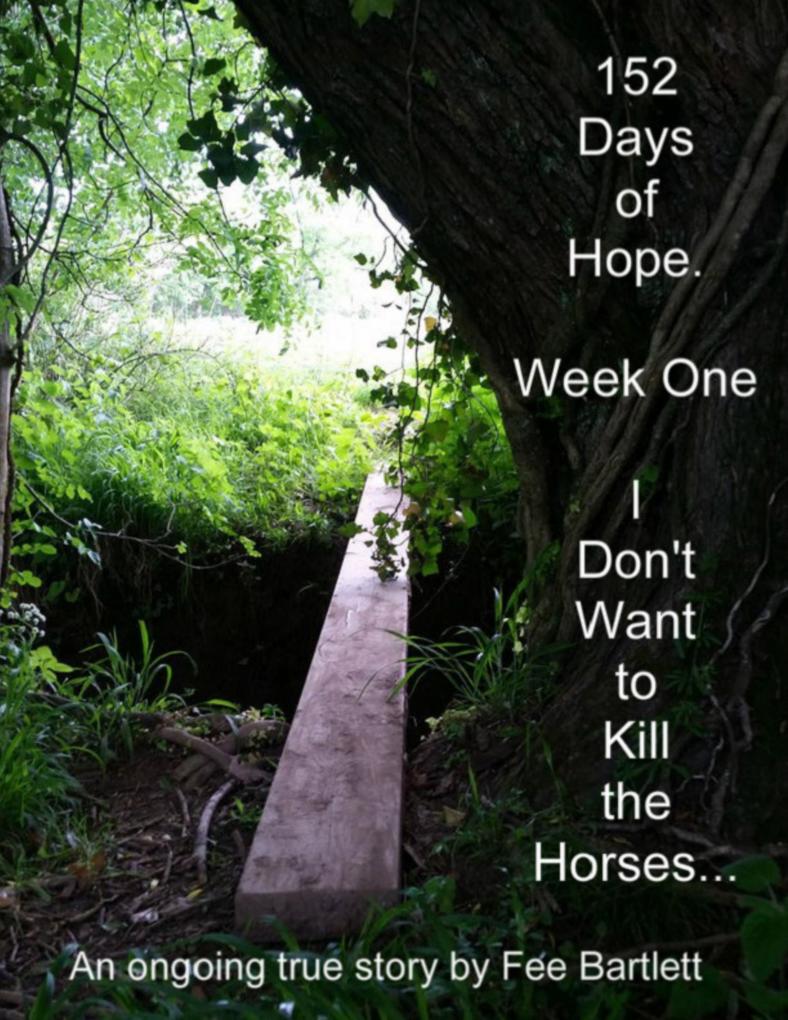 152 Days of Hope : Week One - I Don‘t Want to Kill the Horses...