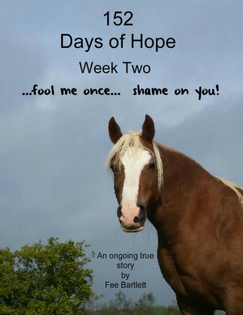 152 Days of Hope: Week Two - Fool Me Once Shame On You...