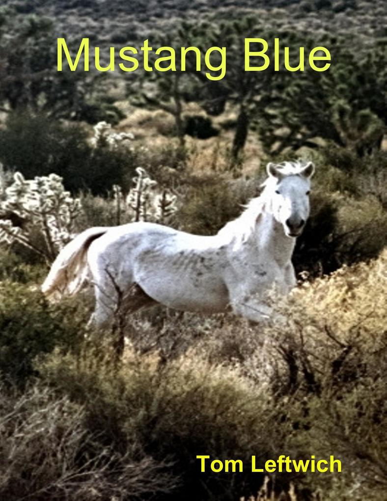 Mustang Blue