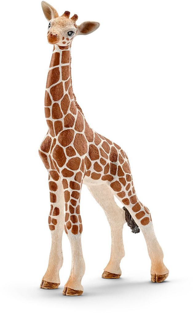 Image of Schleich - Wild Life - Giraffenbaby