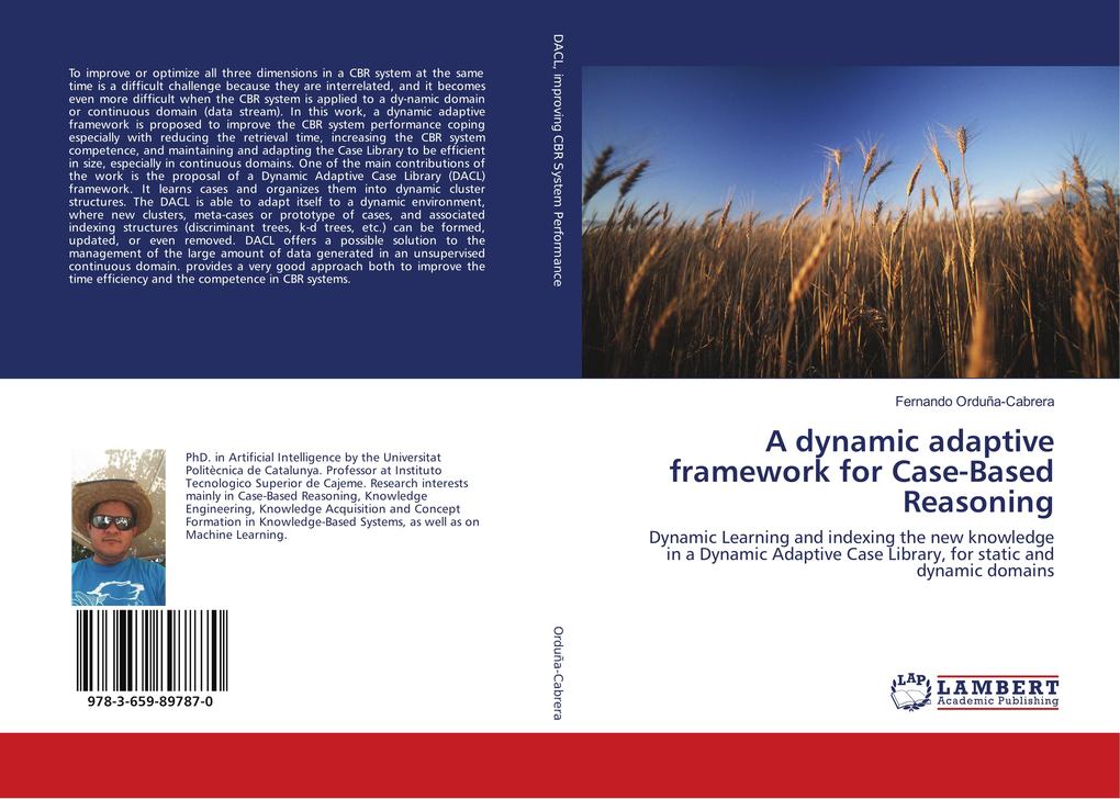 A dynamic adaptive framework for Case-Based Reasoning
