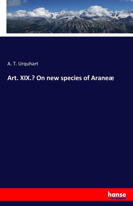 Art. XIX.‘ On new species of Araneæ