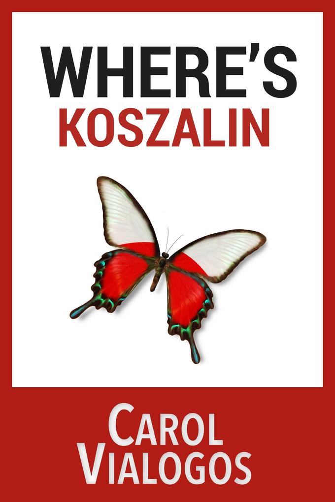 Where‘s Koszalin? Teaching English Abroad