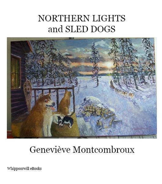 Northern Lights and Sled Dogs