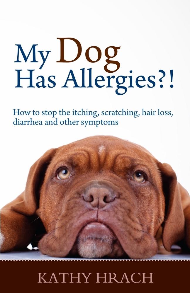 My Dog Has Allergies?! How to Stop the Itching Scratching Hair Loss Diarrhea and Other Symptoms