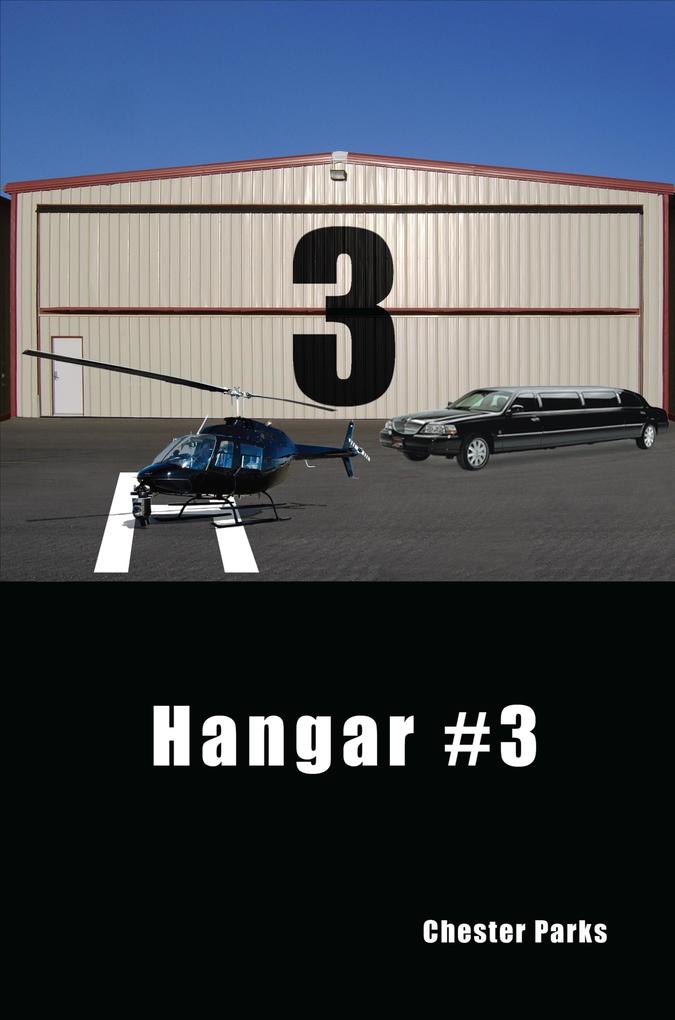 Hangar #3