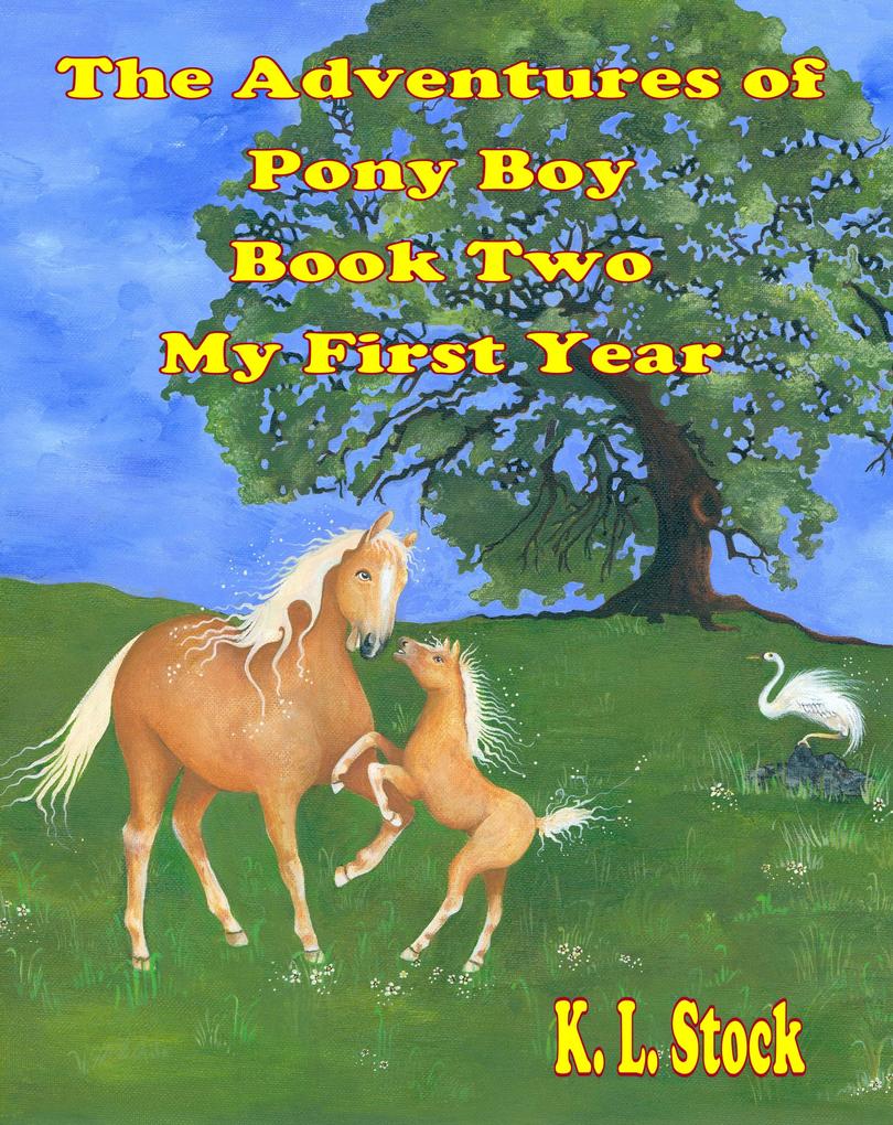 Adventures of Pony Boy Book Two: My First Year