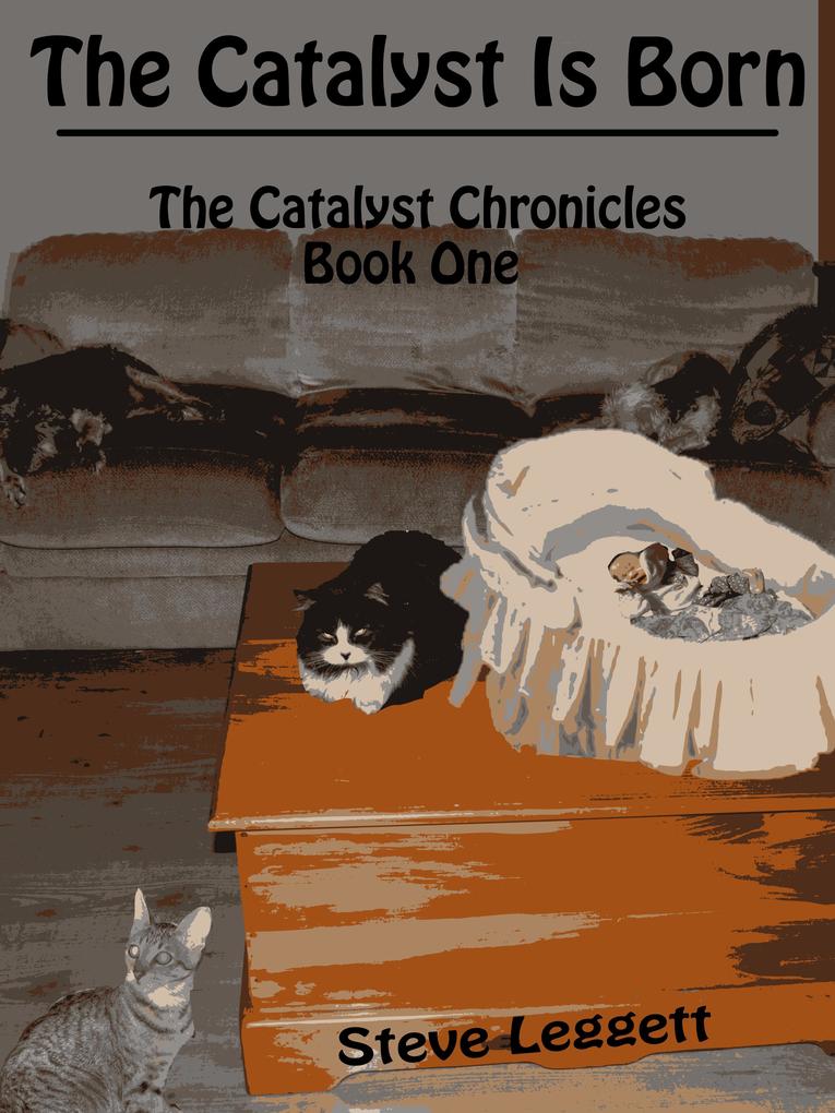 Catalyst is Born: The Catalyst Chronicles - Book One